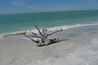 Gulf of Mexico Beach - North Captiva Island